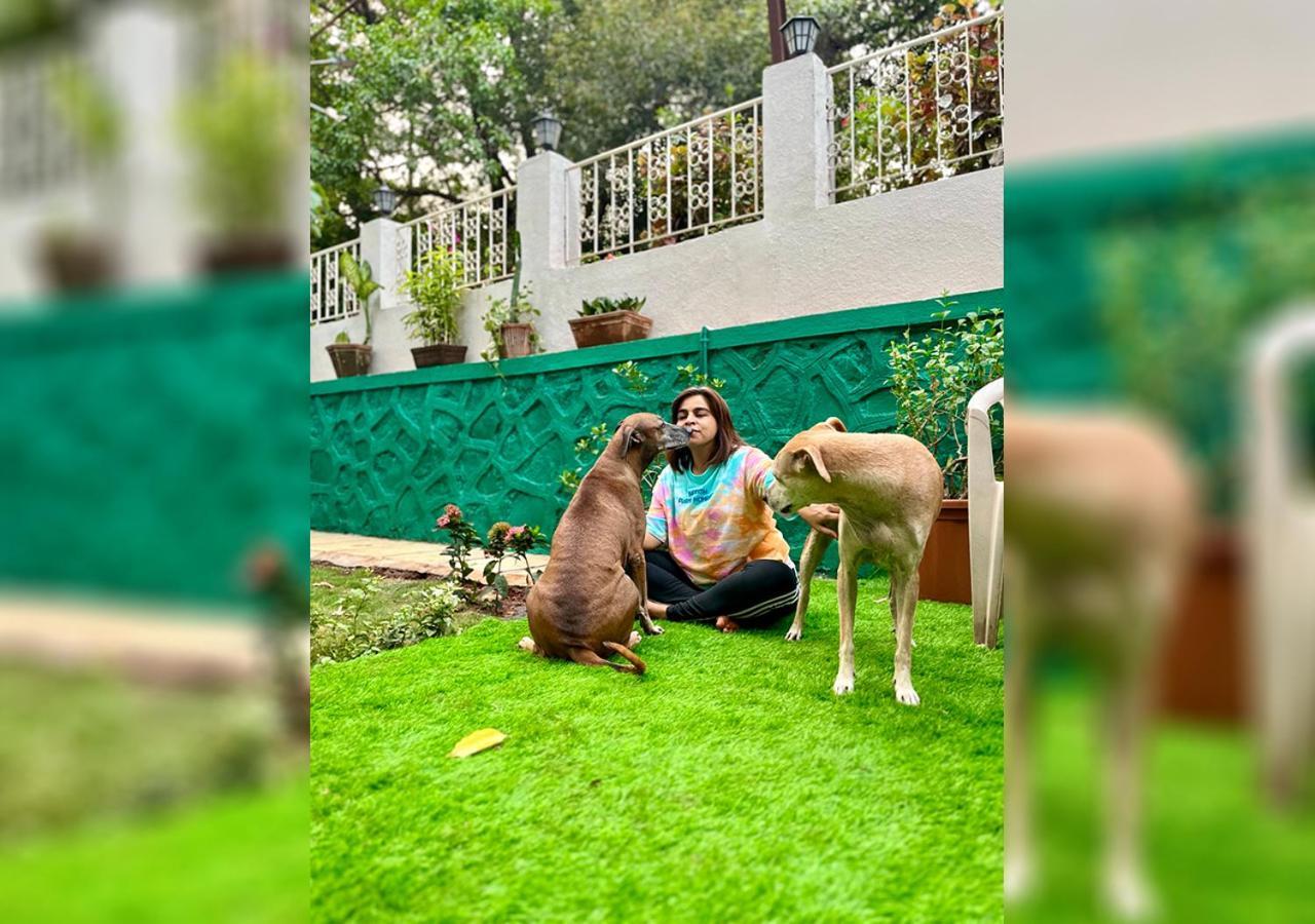 Angel House -Your Private Pet Friendly Haven ロナバラ エクステリア 写真